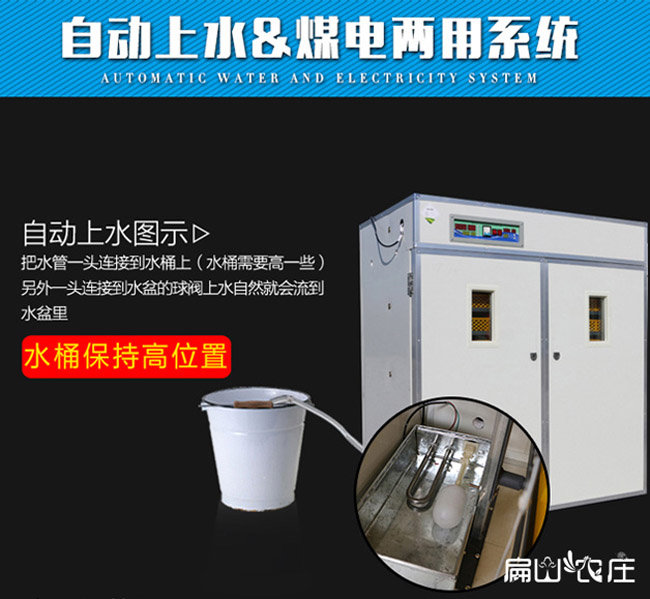 龍岩大型雞苗孵(fū)化設備 龍岩大型雞苗孵化設備