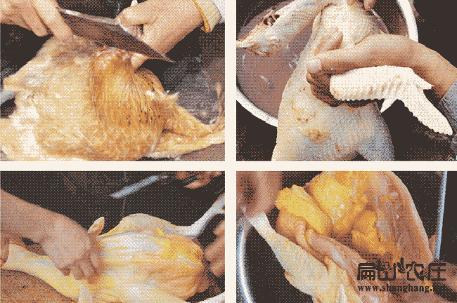 廣西貴妃雞（jī）蛋批發