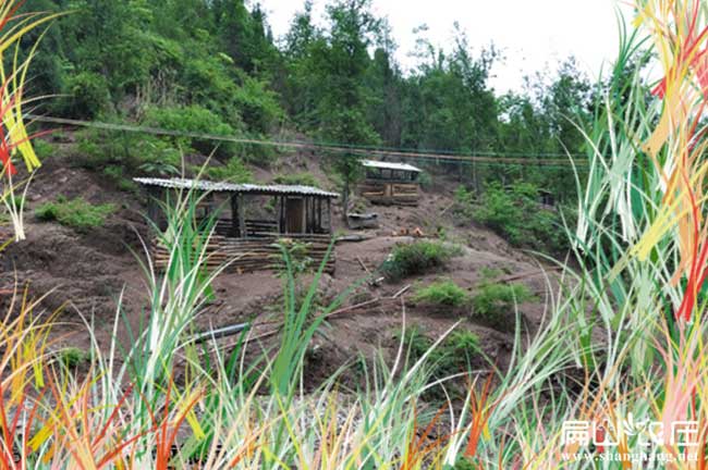 莆田土雞苗孵化基地(dì) 莆田土雞苗孵化基地