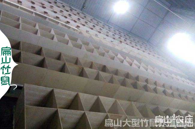 張家界平麵竹鼠養殖（zhí）合作社