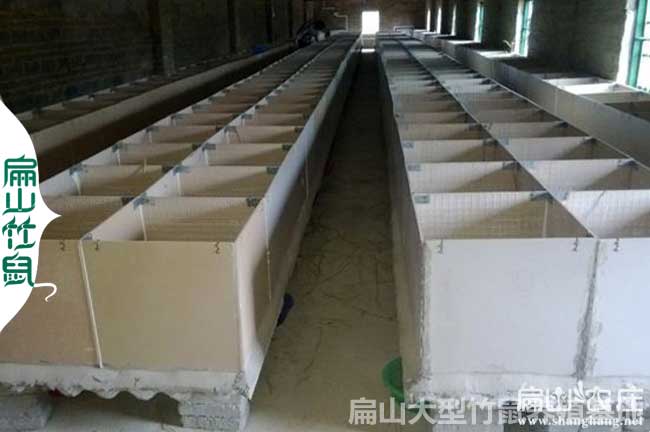 貴陽（yáng）竹鼠養殖基（jī）地