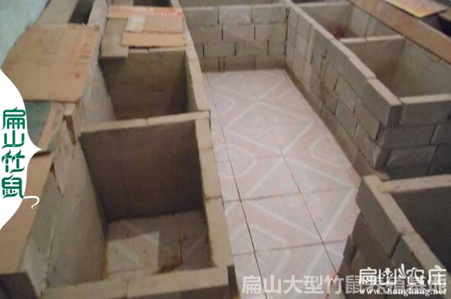旺蒼竹（zhú）鼠種養殖場
