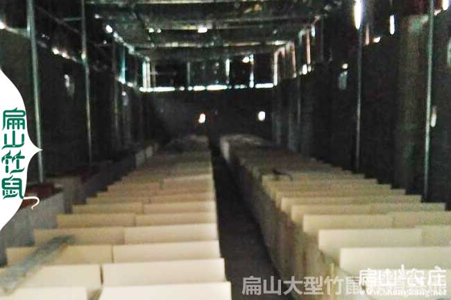 創業2024竹鼠種苗批發價格 養殖合作社基地加（jiā）盟398元（yuán）/對