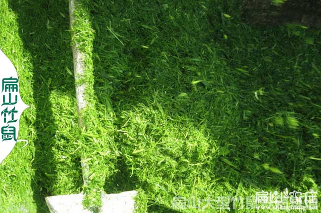 牧草技術交流微信群