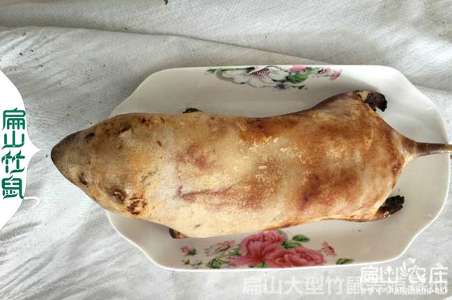 梧州竹鼠批發