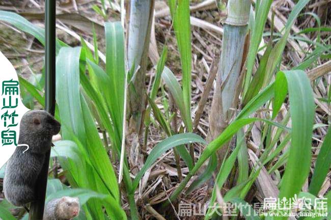重慶劉勇明（míng）的聯（lián）係方式