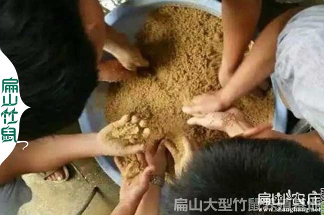 竹鼠飼料