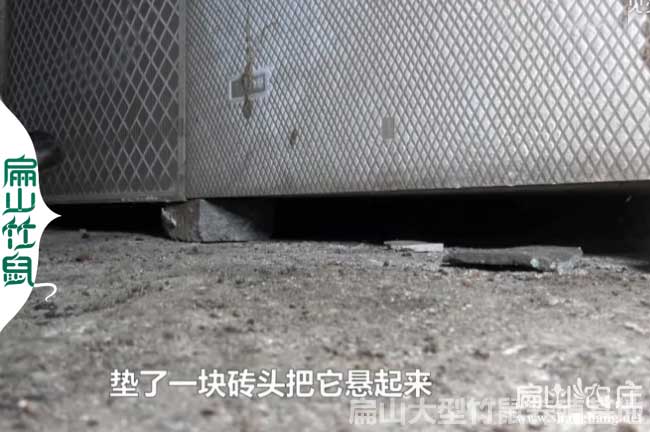 竹鼠養（yǎng）殖政（zhèng）府補貼（tiē）