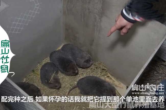 張家界養殖網