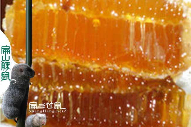 廣西蜂蜜養殖基地