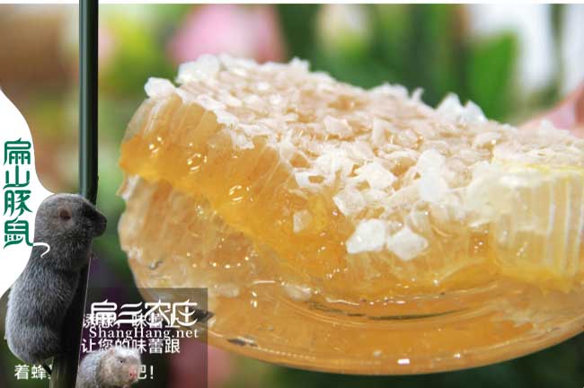 十堰蜂蜜批發 十堰蜂蜜批發