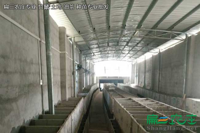 嘉興竹（zhú）鼠養殖基地