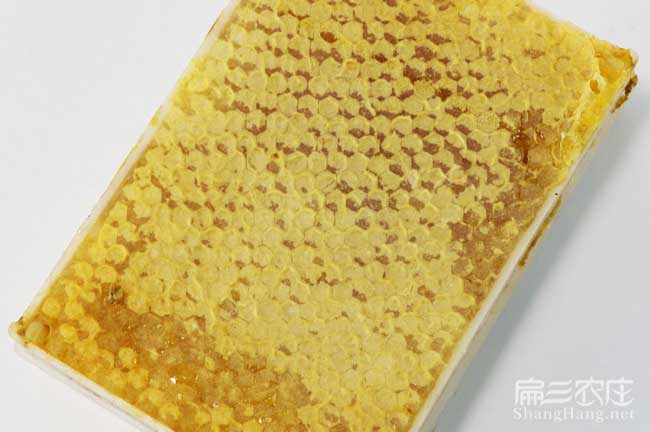 中山蜂巢蜜批發 中山蜂巢蜜批發