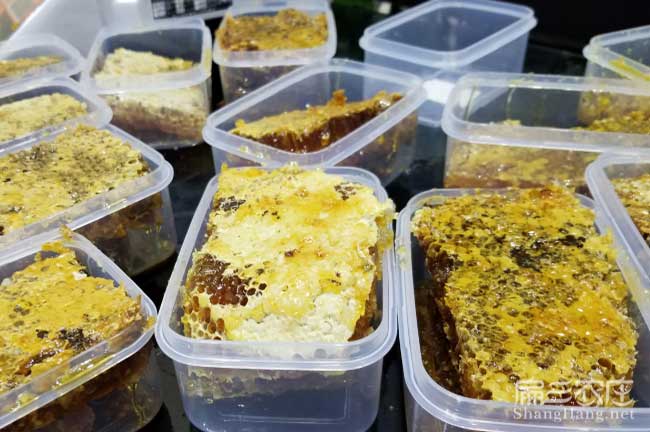 湖南蜜蜂（fēng）養殖技術培訓
