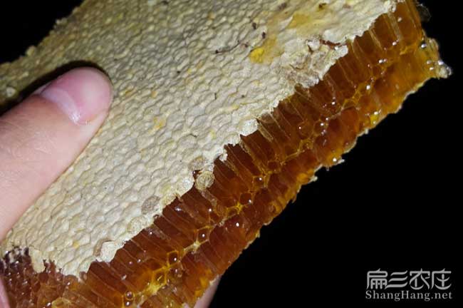 陝西蜂蜜(mì)批發 陝西蜂蜜批發