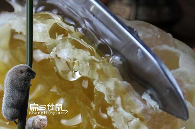 延安蜂(fēng)巢蜜 延安蜂巢蜜