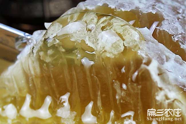 汕(shàn)頭格子蜜批發(fā) 汕頭格子蜜批發