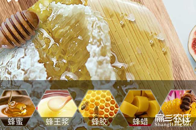 龍岩蜜（mì）蜂養殖