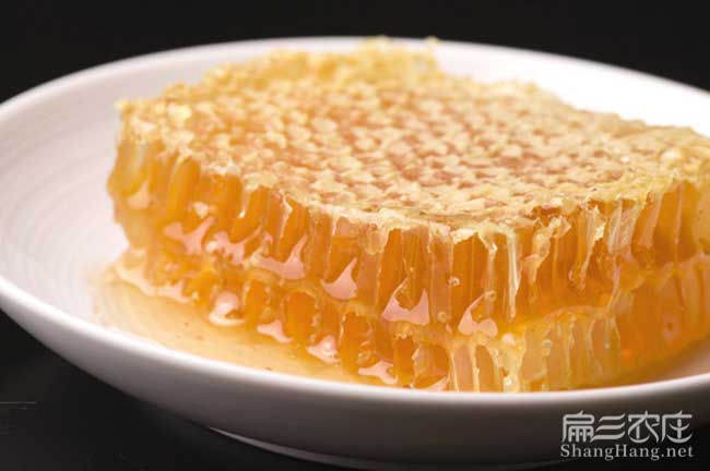 柳州蜂巢蜜批發 柳州蜂巢蜜批發