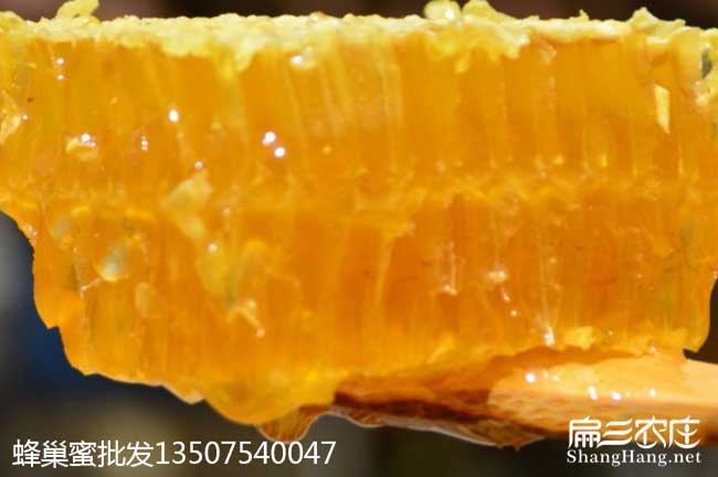 婁底蜜（mì）蜂養殖培訓