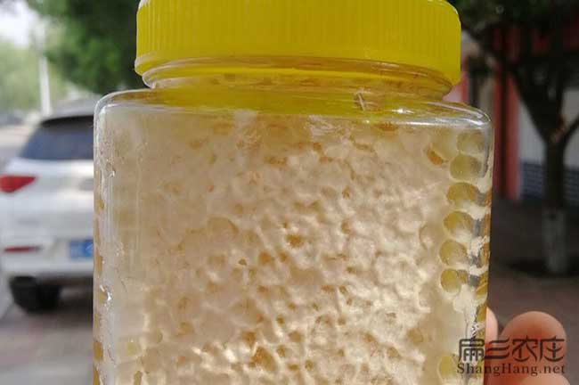 榆林蜂巢蜜(mì) 榆林蜂巢蜜