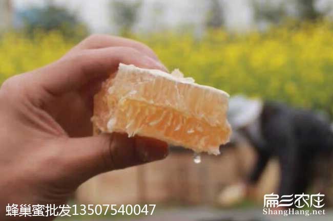 中(zhōng)山蜂蜜批發 中山蜂蜜批發