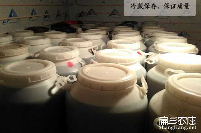 邕寧蜂巢(cháo)蜜批發 邕寧蜂巢(cháo)蜜批發