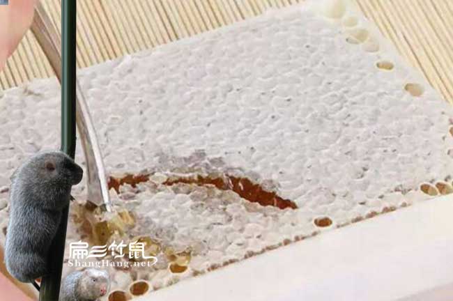 麗江蜂巢蜜批發 麗江蜂巢蜜批發
