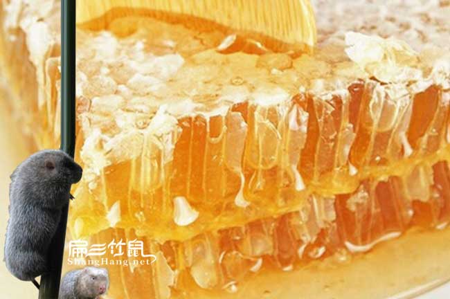 萍鄉蜜蜂養（yǎng）殖