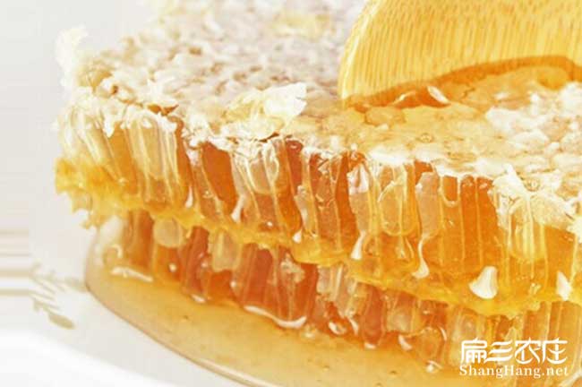 梧州蜜蜂養殖(zhí)基地 梧州蜜蜂養殖基地