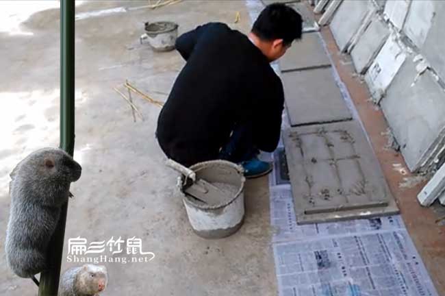 安（ān）溪竹鼠養殖池