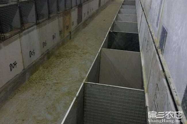 閩侯（hóu）縣生態竹鼠養殖基地