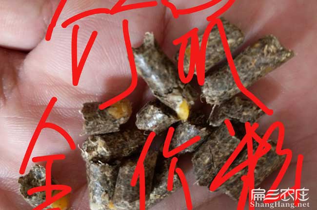 竹鼠全價粉（fěn）
