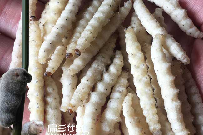 小圍寨油茶種(zhǒng)植的土(tǔ)質 小(xiǎo)圍寨(zhài)油茶種(zhǒng)植的土質