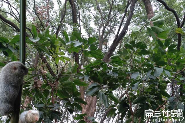 和你們上機縣扁山農業 和你們上機縣扁山農業