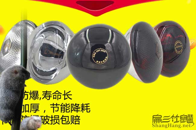 竹鼠養殖設備
