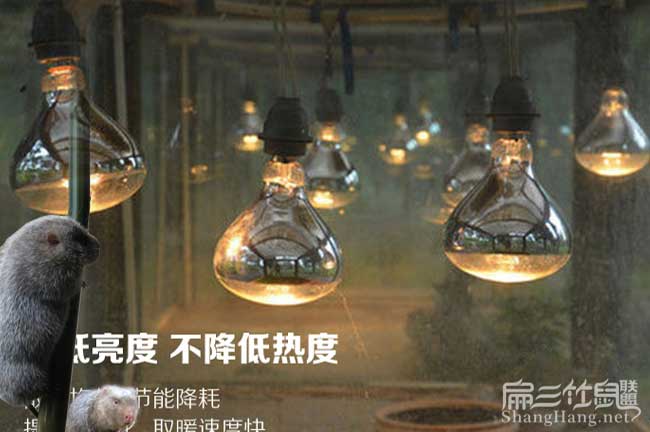 新養殖場保暖燈