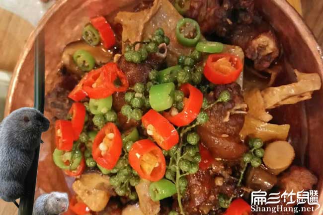 竹鼠養殖騙局梅溪竹鼠 竹鼠養殖(zhí)騙局梅溪竹鼠