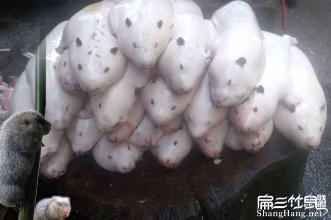 現殺竹鼠（shǔ）肉
