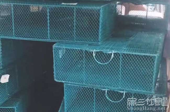 福建規模竹鼠養殖