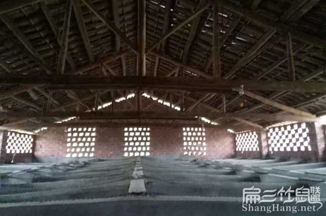 江西大（dà）中（zhōng）肉（ròu）兔養殖