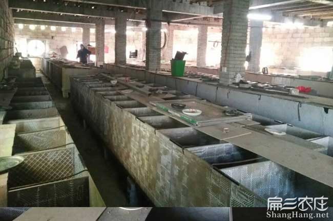 中國竹（zhú）鼠養殖網
