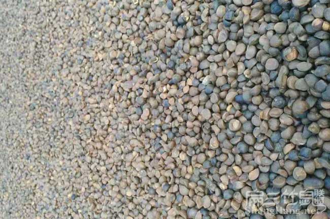 汝城茶籽榨油