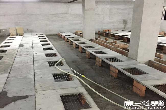 竹（zhú）鼠池設計