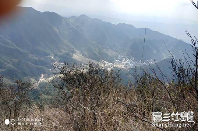 竹(zhú)鼠的日常管理方式: 竹鼠(shǔ)的日常管理方式: