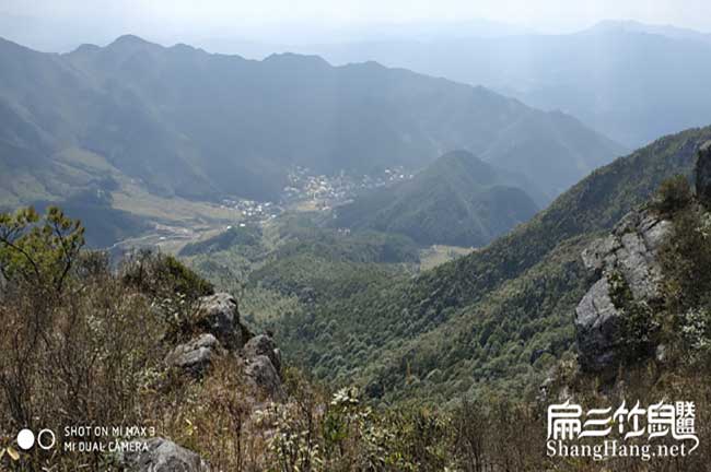 比利時、水口花兔竹鼠種 比利(lì)時、水(shuǐ)口花兔(tù)竹鼠種