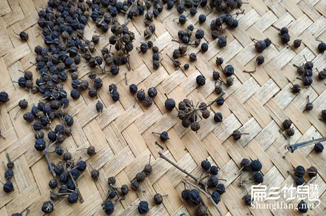 想回庵埠鎮養殖竹鼠不