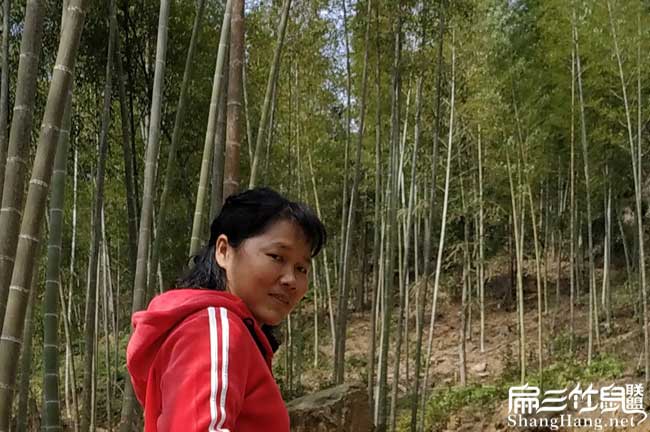 在農村連城(chéng)養殖竹鼠一(yī) 在農村連城養殖竹鼠一