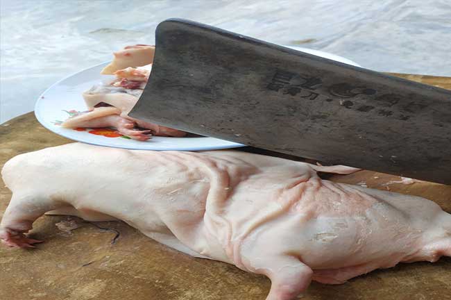 福建（jiàn）竹鼠批發