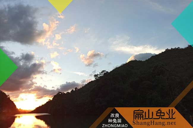 扁山養殖環（huán）境
